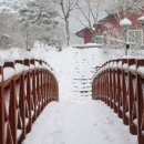 봉수산자연휴양림 이미지