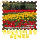 폭포화장실 | 서대문구 가볼만한곳 연희숲속쉼터 튤립 보러 가는길 홍제폭포 구경