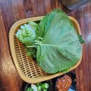 투접시족발 이미지