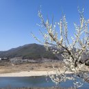 곡성-195 이미지