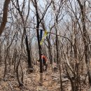 남해-187 이미지