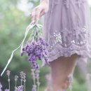 피크닉케이크 이미지