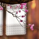 갯벌이야기 이미지