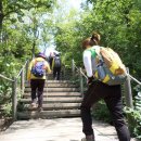 원적산길 이미지