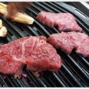 한우랑송이랑 이미지