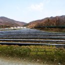 베토벤공인중개사사무소 이미지