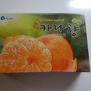 과일블리