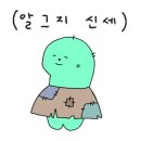 젤라또무초 이미지