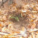 마을 첫집 이미지