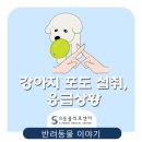 위례S동물의료센터 네이버블로그