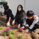 축산항초등학교 이미지