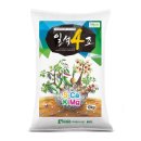 황의상사 | 수박 재배 방법, 우주상사와 함께 합니다.