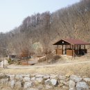 춘천숲자연휴양림 Daum카페