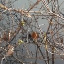 행복자이부동산공인중개사사무소 이미지