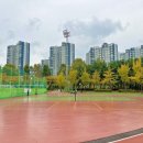 옥구인조잔디축구장 이미지