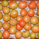 김해농장 이미지