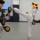 하이킥 태권도장 | [공지] 포항 성인 태권도 실전 타격의 힘 | 대한태권도협회KTA Task Force 위원 위촉 후기