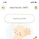 캠핑소리251 이미지