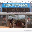 파랑새다육식물원 네이버블로그