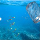 피라미다 | 🎣 계곡·민물 낚시 갈 때 꼭 챙기는 피라미 낚시 바늘 채비 빙어·피래미까지 한 번에 공략하는 가성비...