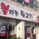 불타는뒷고기 이미지