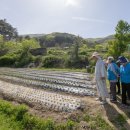 탑곡농장 이미지