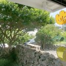 스테이고요 민박 이미지