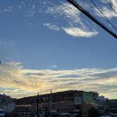 제일수산 - 광진구 긴고랑로13길 11 | [제주여행 #8] 제주 동문시장 동문제일수산 횟집 한치회 포장 추천 후기 (내돈내산, 혼자 여행)