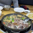 오륙도낙지 이미지