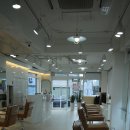 루다헤어 이미지