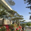 12시천연탕1 | [여행] 경남 고성 로얄 마리나앤리조트 프라이빗 빌라동 105호 후기