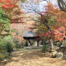 화순농협주유소 이미지