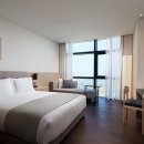 스테이 봄 이미지