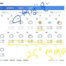 이맘때의 리톱스, 코노피튬 관리...- 리톱스, 코노피튬 , 이미지