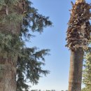 튀르키예-파묵칼레/24.11.05(화) 이미지