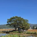 밀양아리나관광안내소 이미지