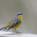 창조 행정사 사무소 이미지