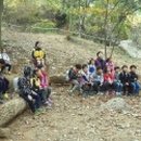 호이 유아숲체험원 이미지