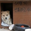 짐 이미지