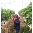 지민농장 이미지