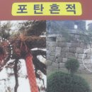 철새보러가는길 이미지