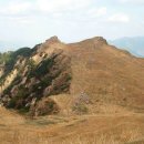 대풍주유소 이미지