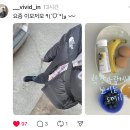 블로그 / 마포 투어 (햇 모닝, 으믐) &amp; 집 앞 베이커리 맛집 발견 ! 노원 들레 / 택배깡, 도시락 싸기 🪻🫧🤍