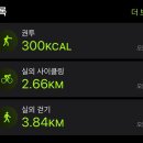 효창복싱 이미지