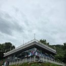 장성마실 | 광주 근교 주말 힐링 숙소, 자연과 함께한 장성 글램핑 방문 후기