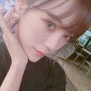 리지 이미지