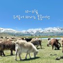 수현항공여행사 이미지