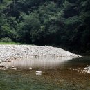 월통교 옆(덕우리) | (정선 덕산기계곡 트레킹&amp;캠핑) 물안개 피어나는 여름 풍경 속을 걷다.