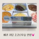 경기도 안양시 동안구청 | 안양베스킨 저당 초코나무숲/케이크 실제혈당후기
