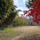 녹아촌산장가든 이미지